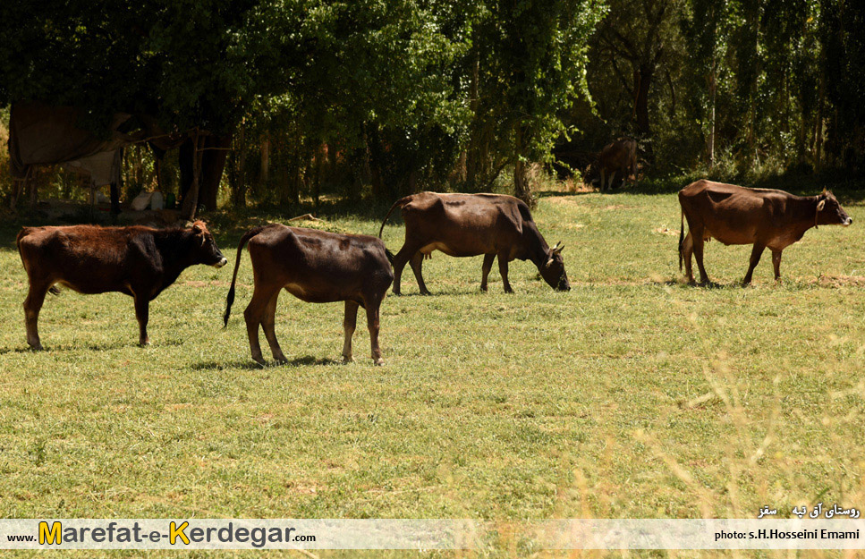 روستای آق تپه سقز